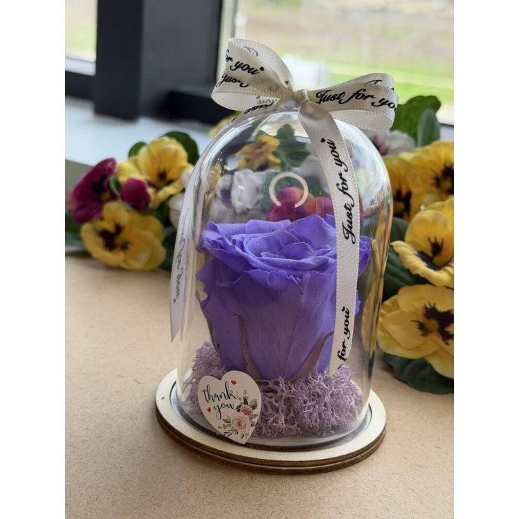 Естествена вечна роза в PVC купол W24