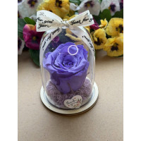 Естествена вечна роза в PVC купол W24