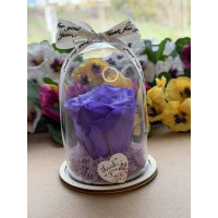 Естествена вечна роза в PVC купол W24