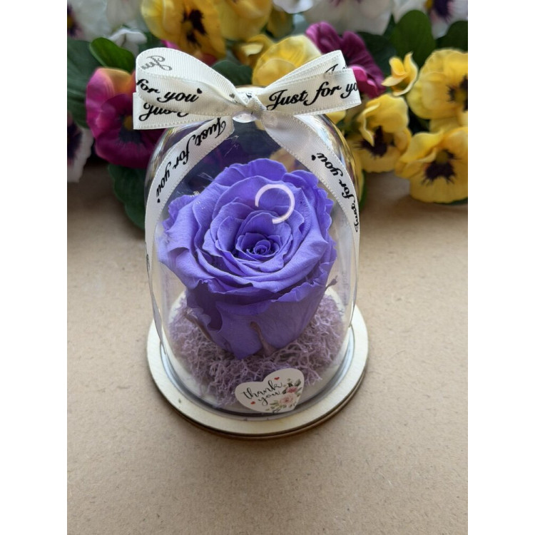 Естествена вечна роза в PVC купол W24