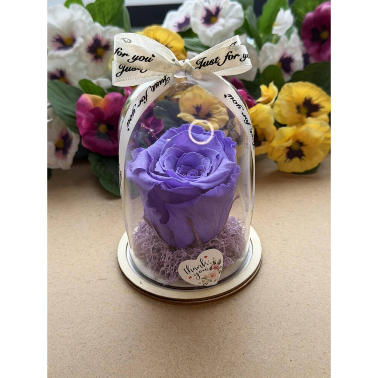 Естествена вечна роза в PVC купол W24