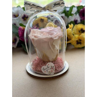 Естествена вечна роза в PVC купол W25