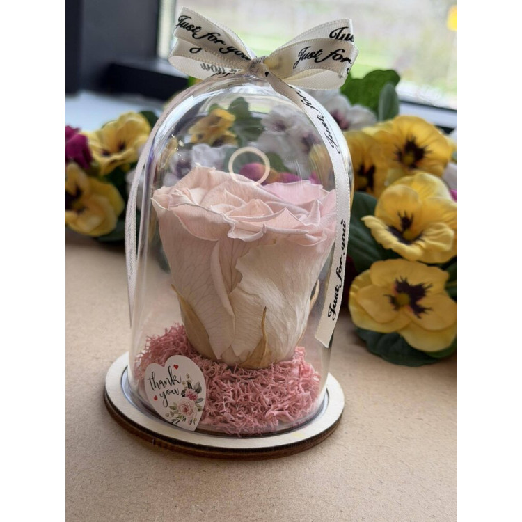 Естествена вечна роза в PVC купол W25