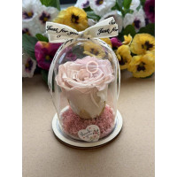 Естествена вечна роза в PVC купол W25