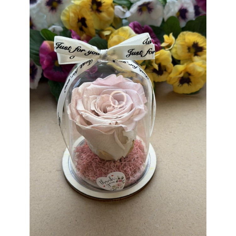 Естествена вечна роза в PVC купол W25