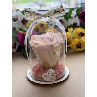 Естествена вечна роза в PVC купол W25