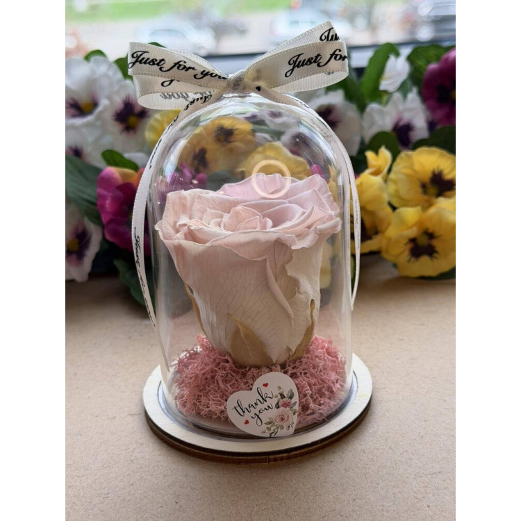 Естествена вечна роза в PVC купол W25