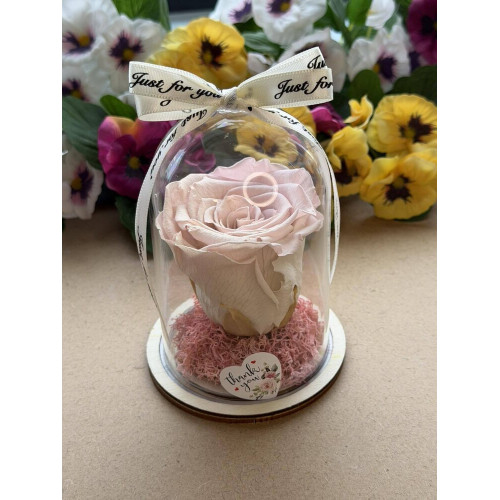 Естествена вечна роза в PVC купол W25