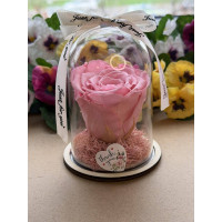 Естествена вечна роза в PVC купол W26