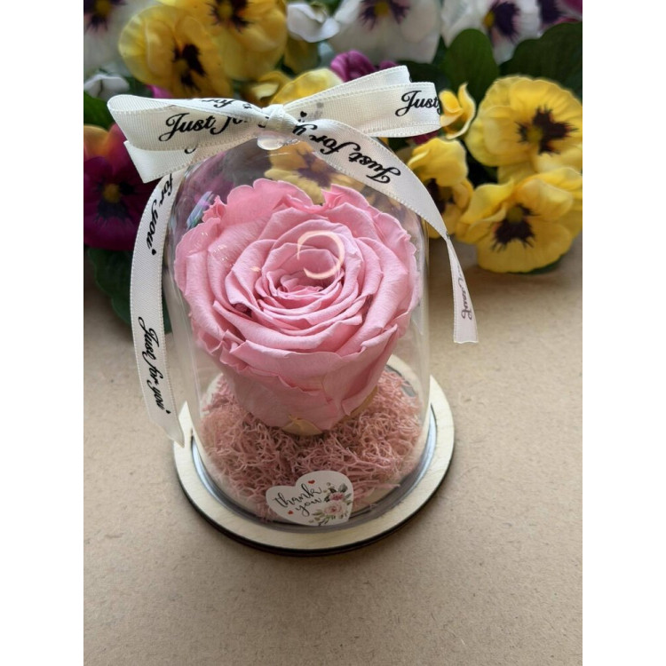 Естествена вечна роза в PVC купол W26