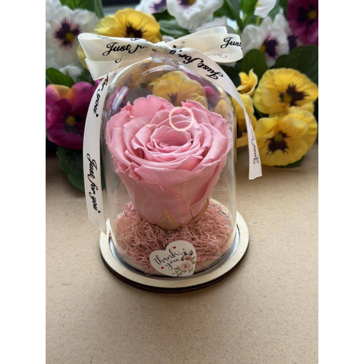 Естествена вечна роза в PVC купол W26