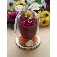 Естествена вечна роза в PVC купол W27