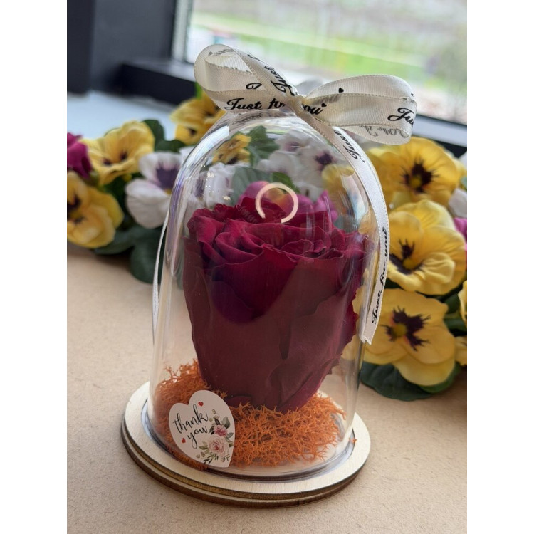 Естествена вечна роза в PVC купол W27