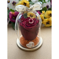 Естествена вечна роза в PVC купол W27