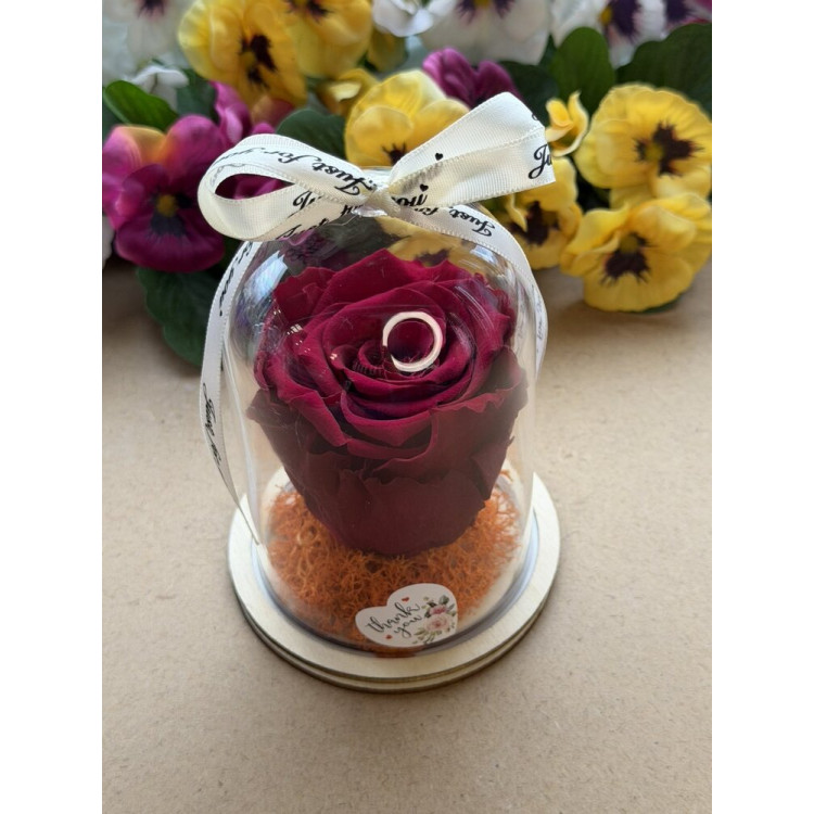 Естествена вечна роза в PVC купол W27