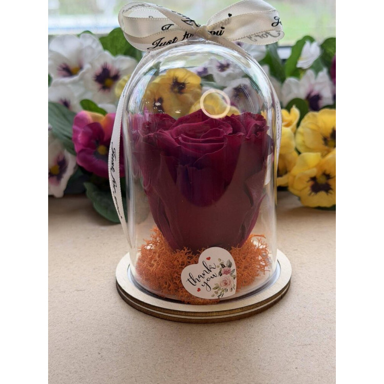 Естествена вечна роза в PVC купол W27