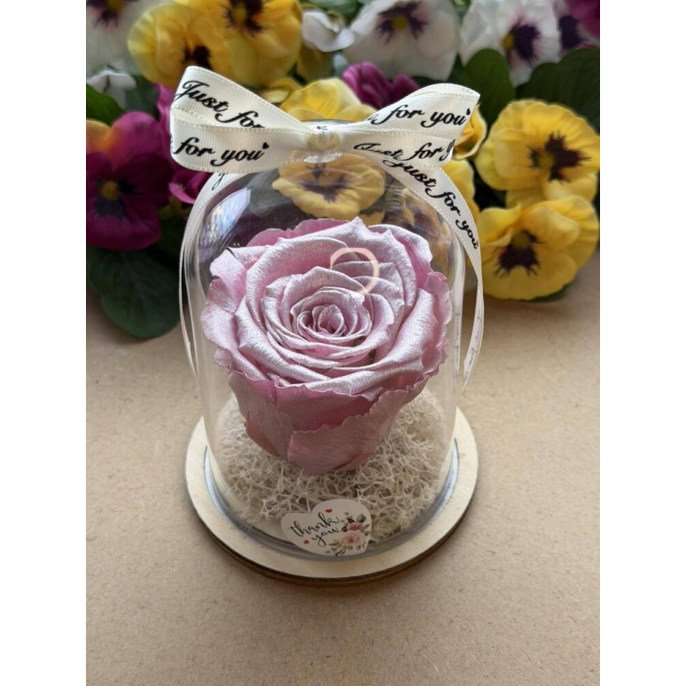 Естествена вечна роза в PVC купол W28