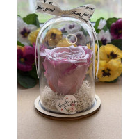 Естествена вечна роза в PVC купол W28