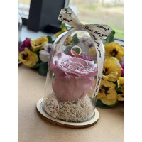 Естествена вечна роза в PVC купол W28