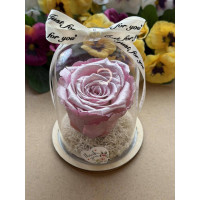 Естествена вечна роза в PVC купол W28