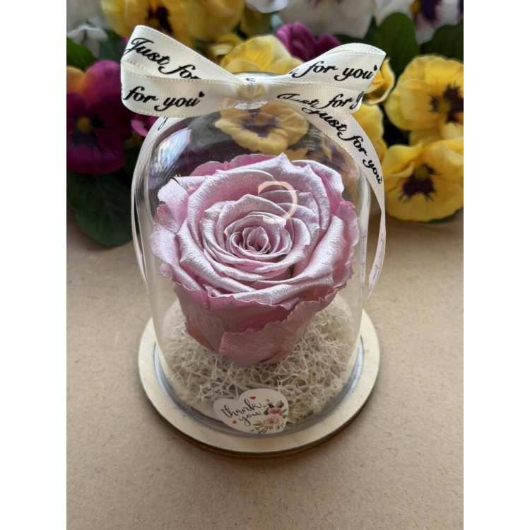 Естествена вечна роза в PVC купол W28