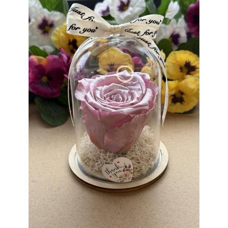 Естествена вечна роза в PVC купол W28