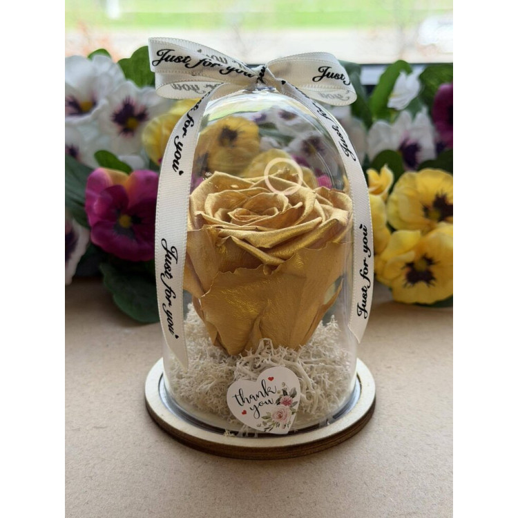 Естествена вечна роза в PVC купол W29