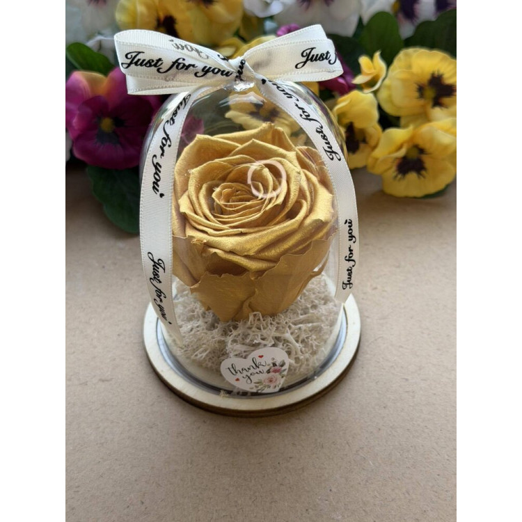 Естествена вечна роза в PVC купол W29