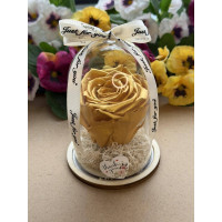 Естествена вечна роза в PVC купол W29