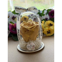 Естествена вечна роза в PVC купол W29