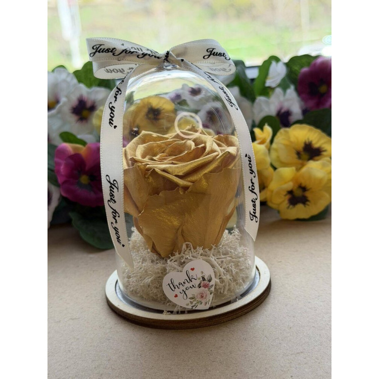 Естествена вечна роза в PVC купол W29