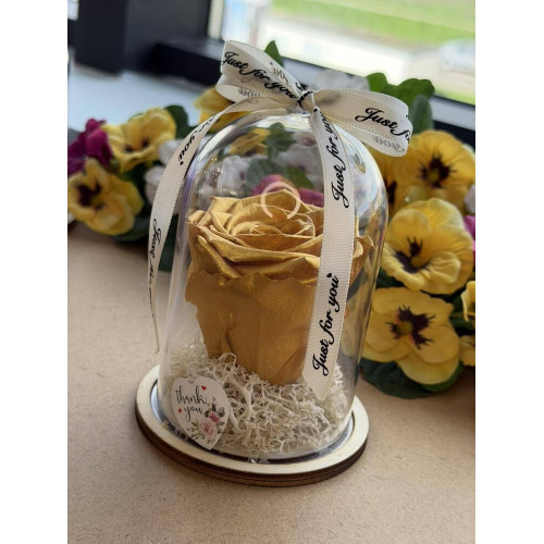 Естествена вечна роза в PVC купол W29