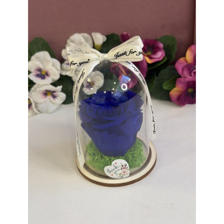 Естествена вечна роза в PVC купол W3