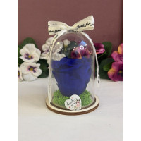 Естествена вечна роза в PVC купол W3