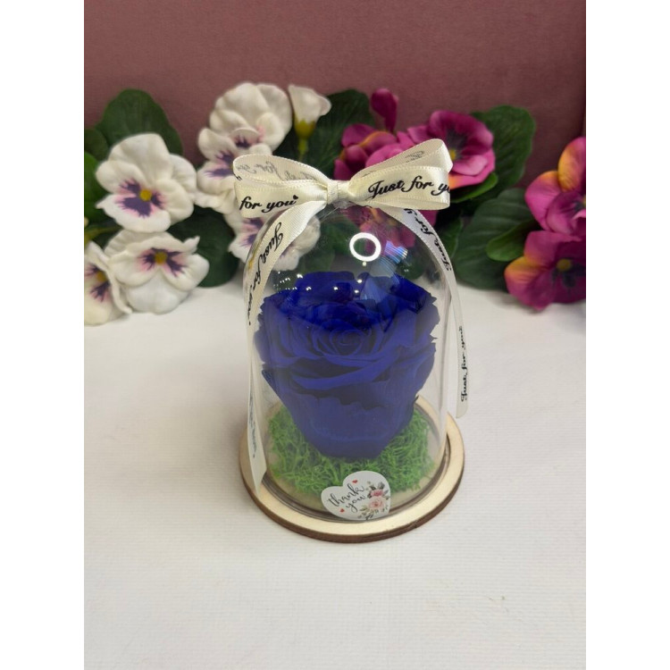 Естествена вечна роза в PVC купол W3