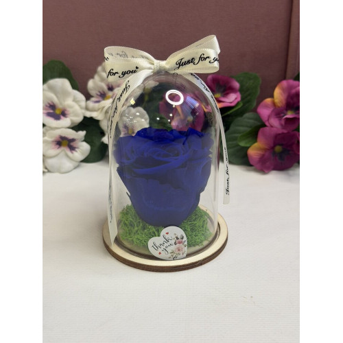 Естествена вечна роза в PVC купол W3