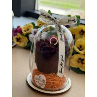 Естествена вечна роза в PVC купол W30