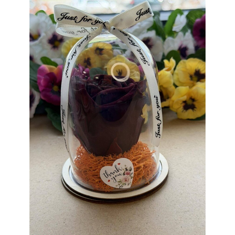 Естествена вечна роза в PVC купол W30