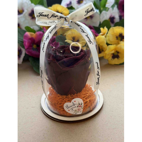 Естествена вечна роза в PVC купол W30