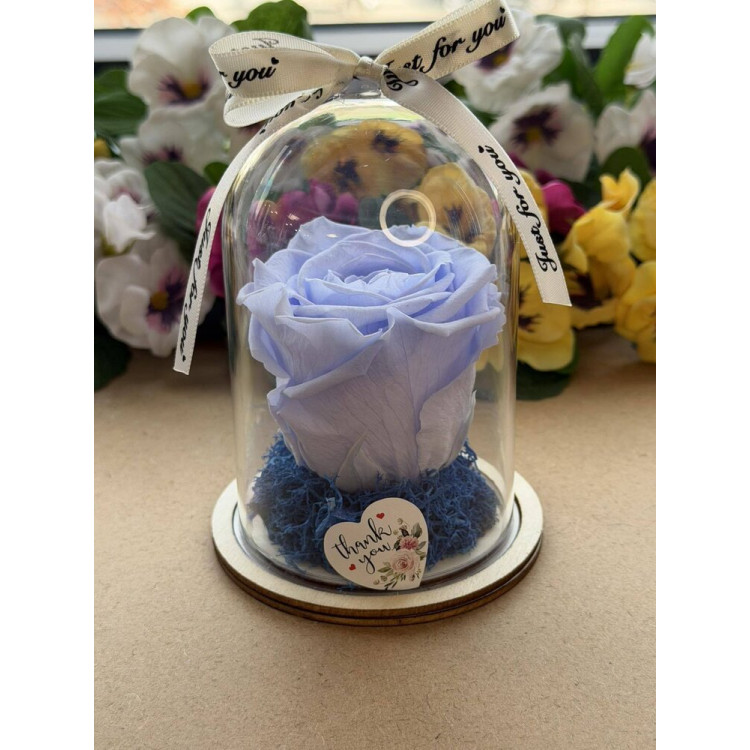 Естествена вечна роза в PVC купол W31