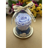 Естествена вечна роза в PVC купол W31