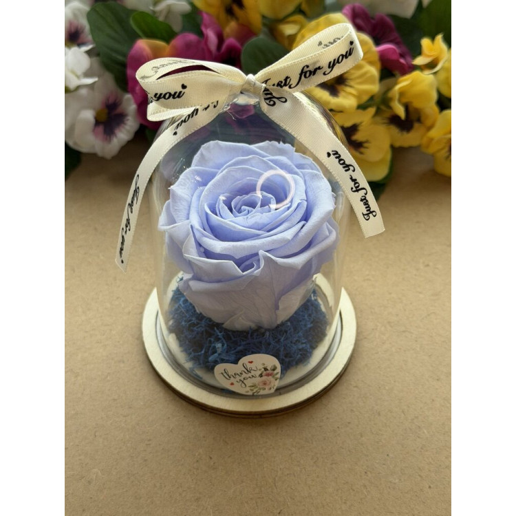 Естествена вечна роза в PVC купол W31