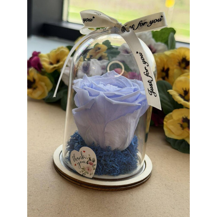 Естествена вечна роза в PVC купол W31