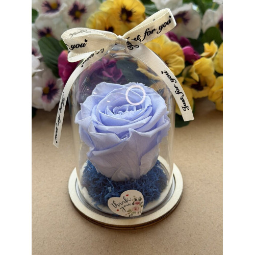 Естествена вечна роза в PVC купол W31