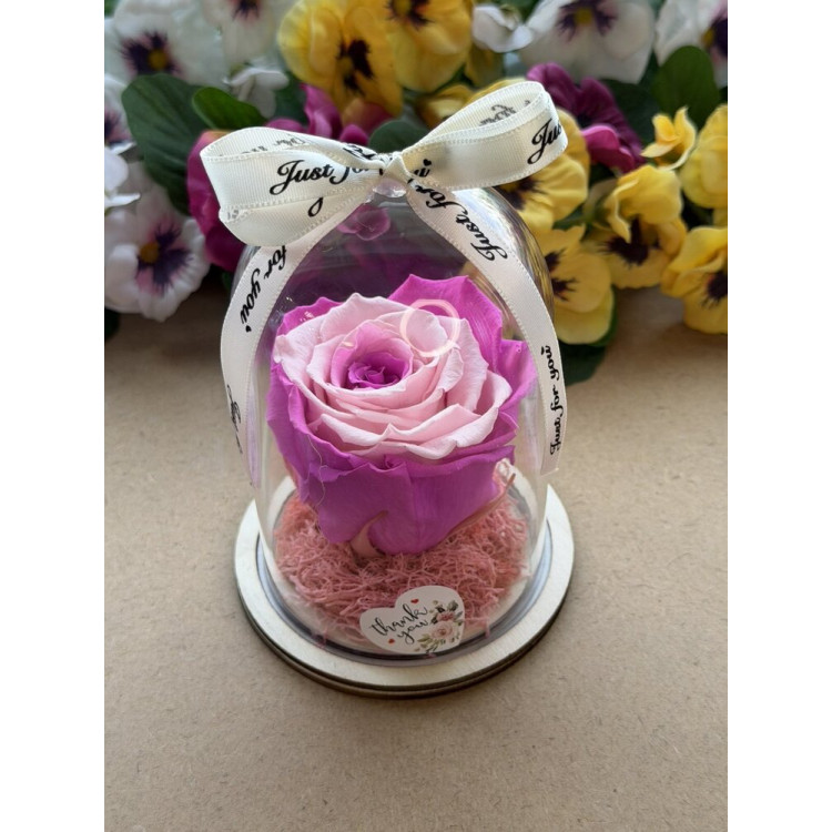 Естествена вечна роза в PVC купол W32