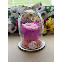 Естествена вечна роза в PVC купол W32