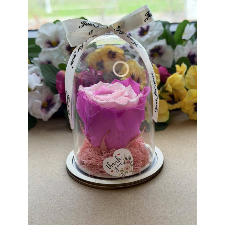 Естествена вечна роза в PVC купол W32