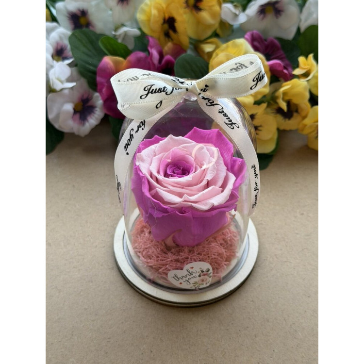 Естествена вечна роза в PVC купол W32