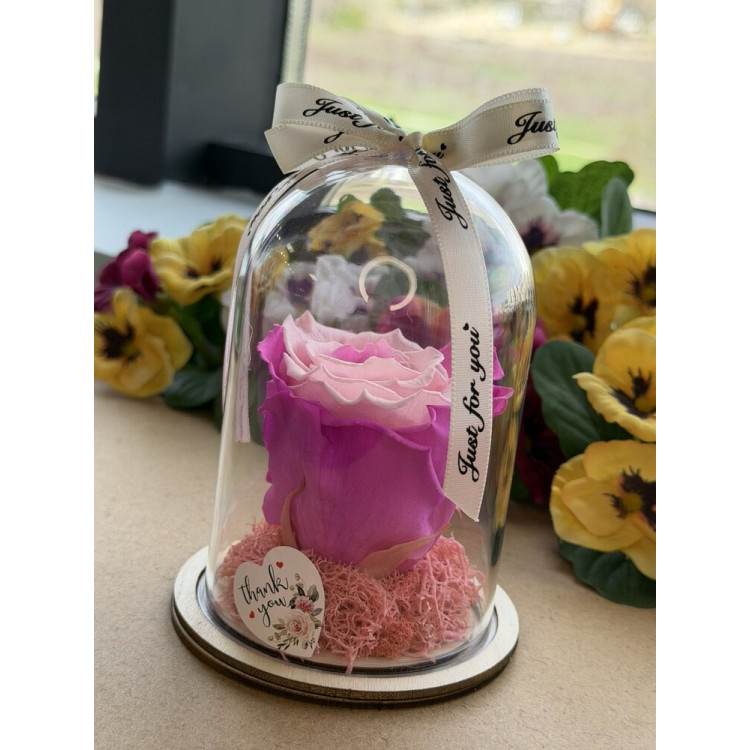 Естествена вечна роза в PVC купол W32