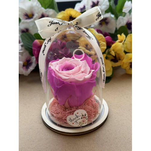 Естествена вечна роза в PVC купол W32